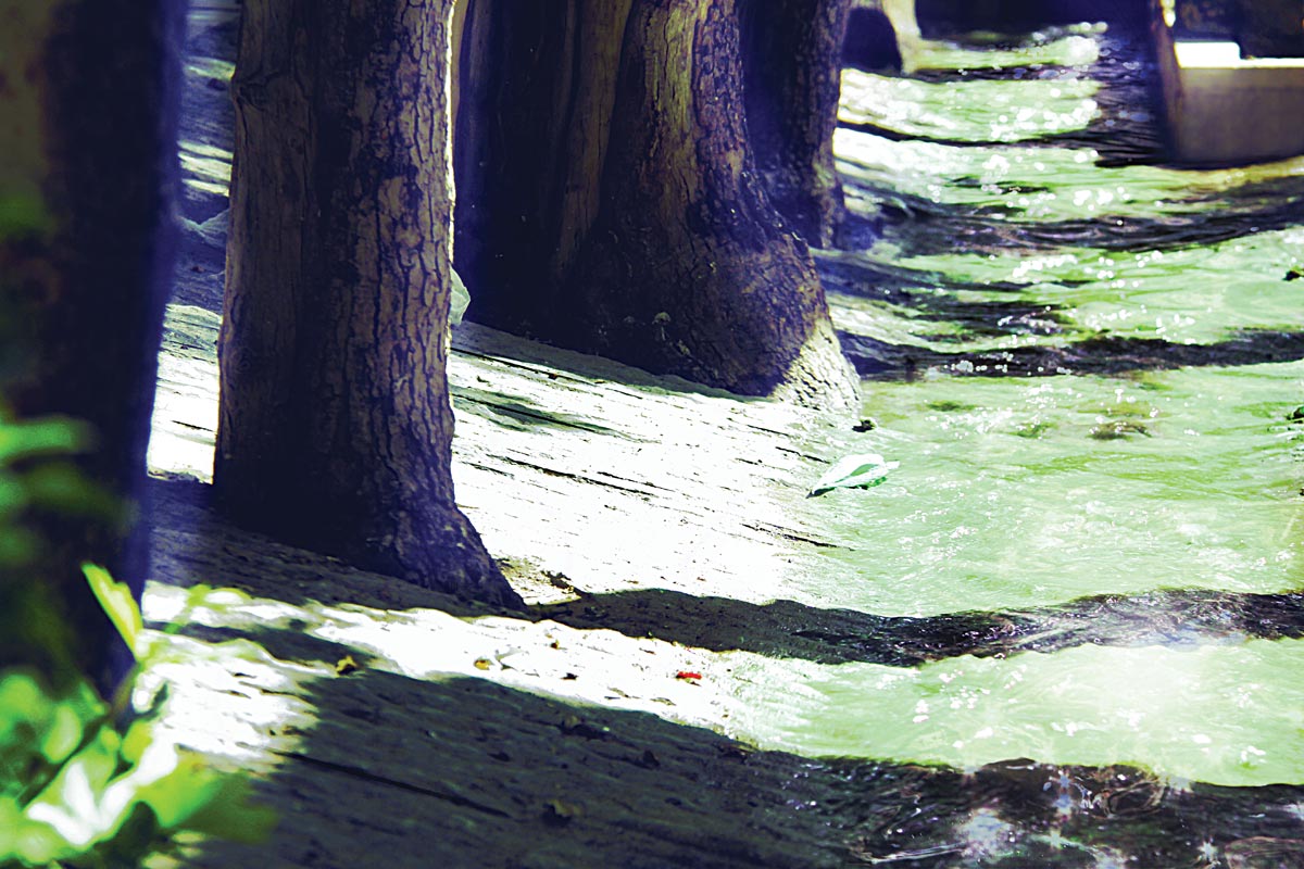 رتبه اول گروه بازسازی