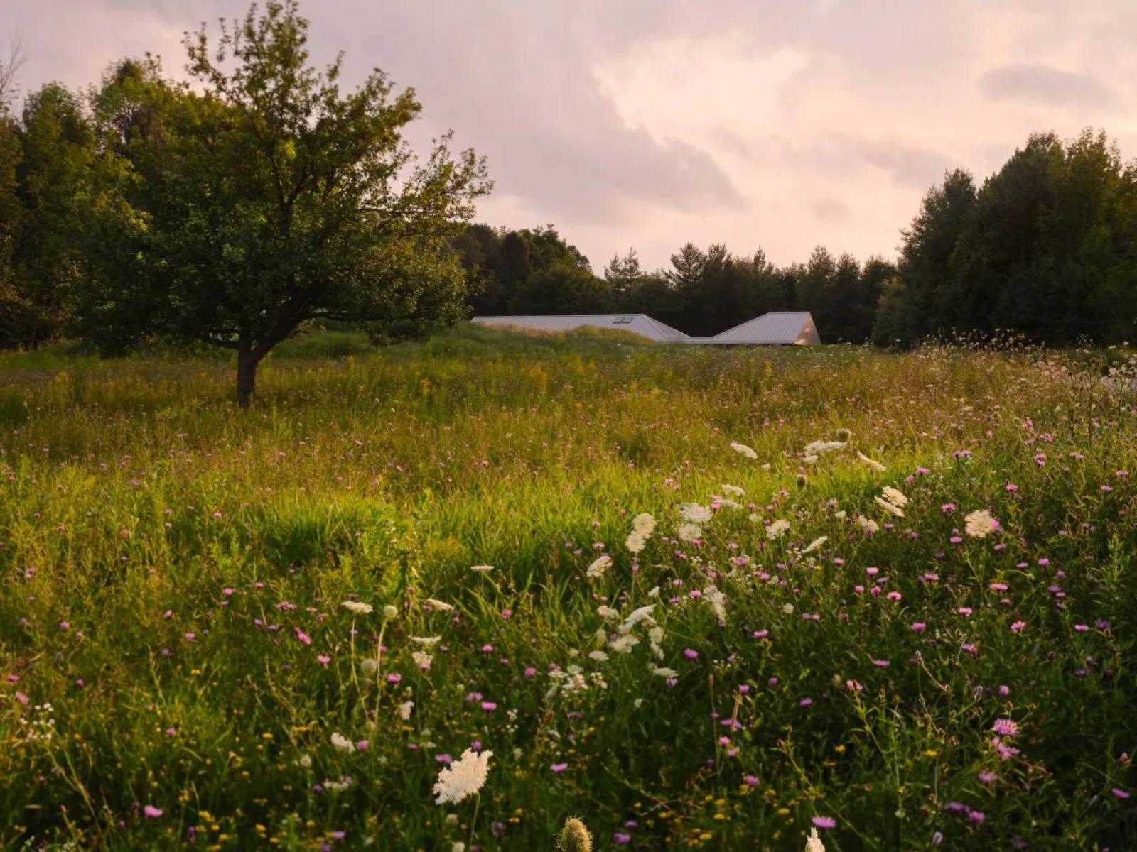 خانهٔ ریج (Ridge House) اثر Superkül