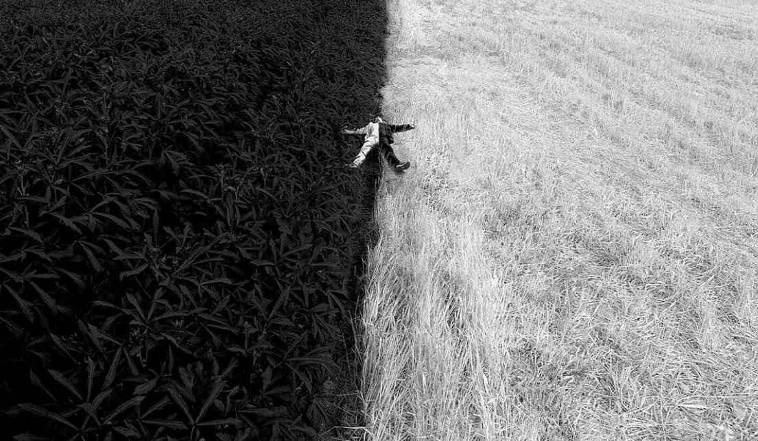 جایزه بین المللی Kioskedia 2025