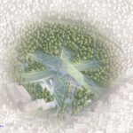 big-unveils-images-of-its-timber-structured-design-for-the-new-hungarian-natural-history-museum-in-debrecen_20