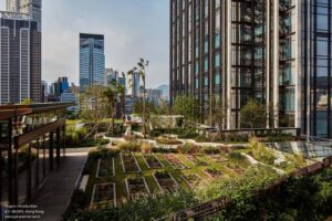K11_MUSEA_Nature_Discovery_Park_compress_(1)