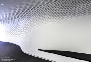 DM_12