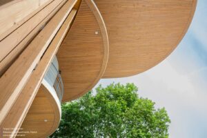arborescence-wy-to-architects_10