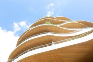 arborescence-wy-to-architects_12 (1)