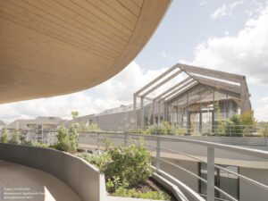 arborescence-wy-to-architects_14
