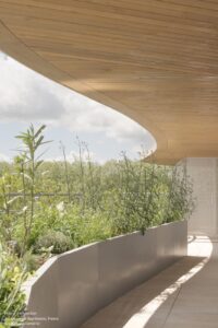 arborescence-wy-to-architects_15