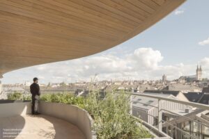 arborescence-wy-to-architects_16