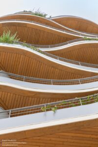 arborescence-wy-to-architects_2