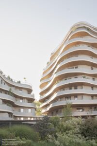 arborescence-wy-to-architects_4
