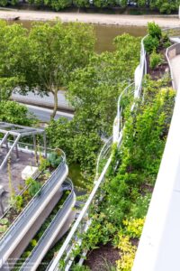 arborescence-wy-to-architects_6 (1)