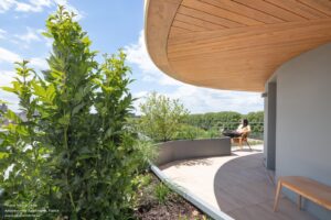 arborescence-wy-to-architects_7 (1)