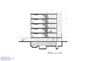 section