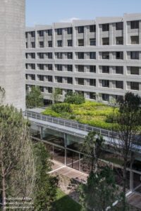 bacalan-block-cosa_12