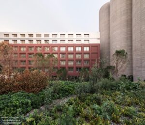 bacalan-block-cosa_15