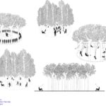 0-circular-forests-21