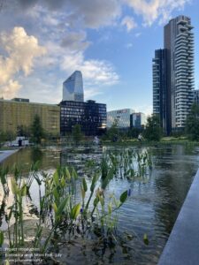 bibilioteca-degli-alberi-park-inside-outside-architecture_1 (2)