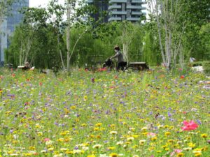 bibilioteca-degli-alberi-park-inside-outside-architecture_2 (1)