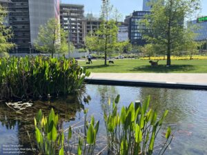bibilioteca-degli-alberi-park-inside-outside-architecture_4 (1)
