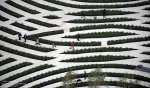bibilioteca-degli-alberi-park-inside-outside-architecture_4