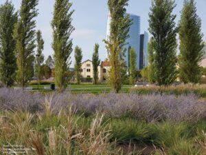 bibilioteca-degli-alberi-park-inside-outside-architecture_8