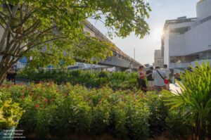 hop-park-green-pop-up-hop-into-the-greeniverse-shma-company-limited_8