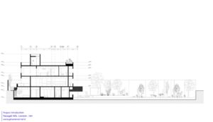 section (1)