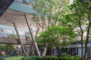 shenzhen-art-high-school-o-office-architects_1 (10)
