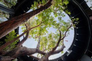 015-TOUCH-AKAMORI_low-res