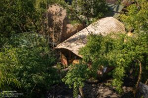 09_The_Living_Bridge_Drone_Shot_Credit_Mizzi_Studio__AD_