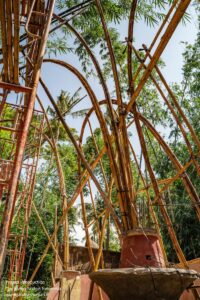 19_The_Living_Bridge_Construction_of_Pillars_Photo_Credit_Eden_Rice__AD_