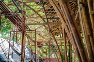 20_The_Living_Bridge_Construction_Photo_Credit_Eden_Rice__AD_