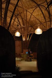 23_The_Living_Bridge_Night_Shot_Credit_Mizzi_Studio__AD_