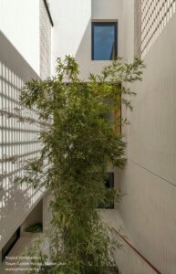 BA-Studio-Bagh-Borj-House-12