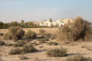Ghaf_Woods_Experience_Centre_aoe_20