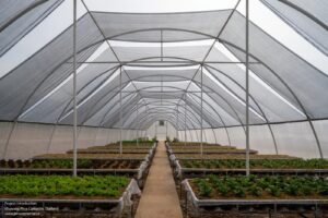 archdaily_12