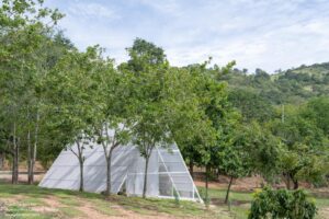 archdaily_15