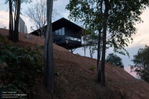 archdaily_18