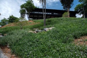 archdaily_26