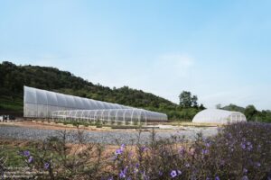 khanong-phra-campsite-phtaa-living-design_27