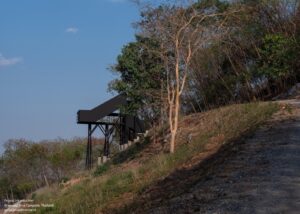 khanong-phra-campsite-phtaa-living-design_27 (5)