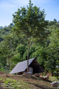 khanong-phra-campsite-phtaa-living-design_28