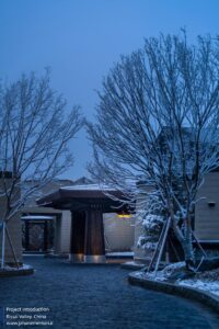 _6________404NF_STUDIO
