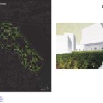 8._Field_of_vegetation