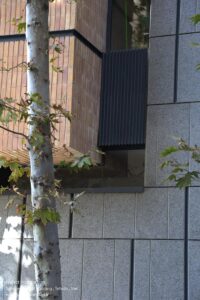 cedar-residential-ravaq-studio-3