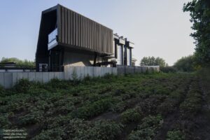 images-4