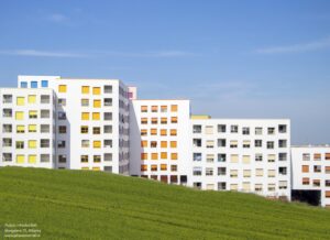 mangalem-21-oma-plus-kontaktd_29