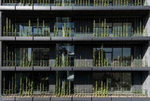 rooydaad-architects-5-1-residence-apartments-archello.1713771258.1029