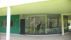 stringio (15)