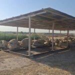 253 اثر کاخ آپادانای هخامنشی شوش ایمن‌سازی شد