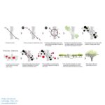 AA-AshariArchitects-Life-Bridge-Diagram-1